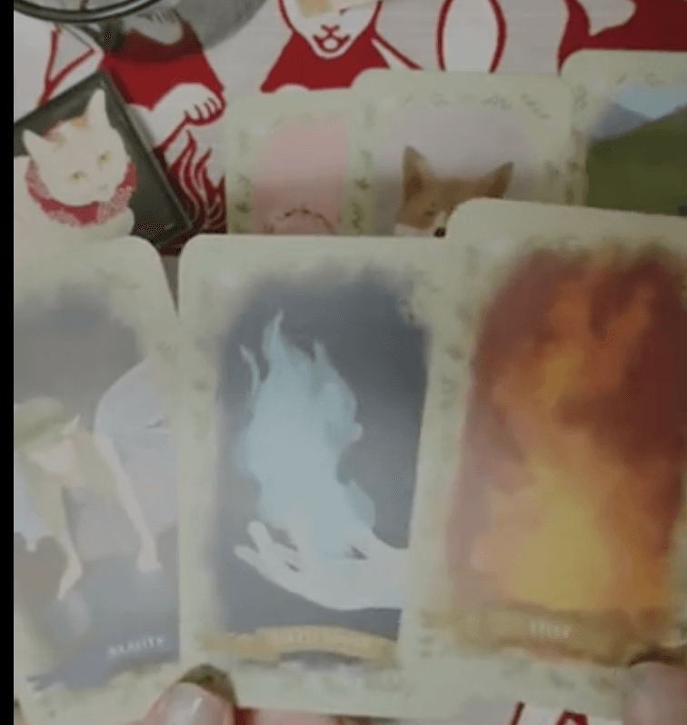 RirioのTikTok配信占い