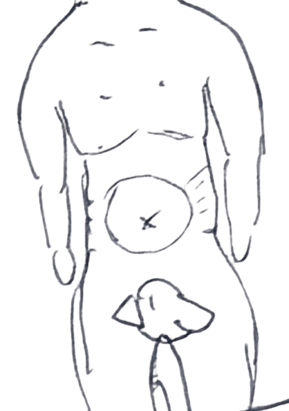 10 の似体絵