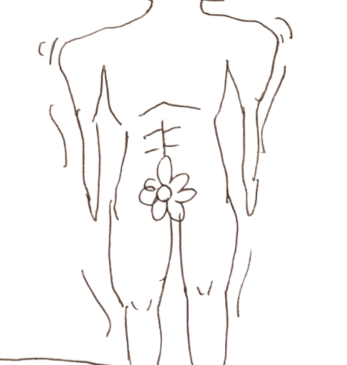 1 の似体絵