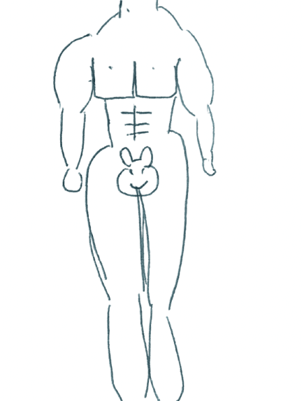 3 の似体絵