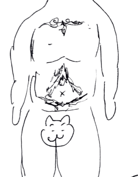 4 の似体絵