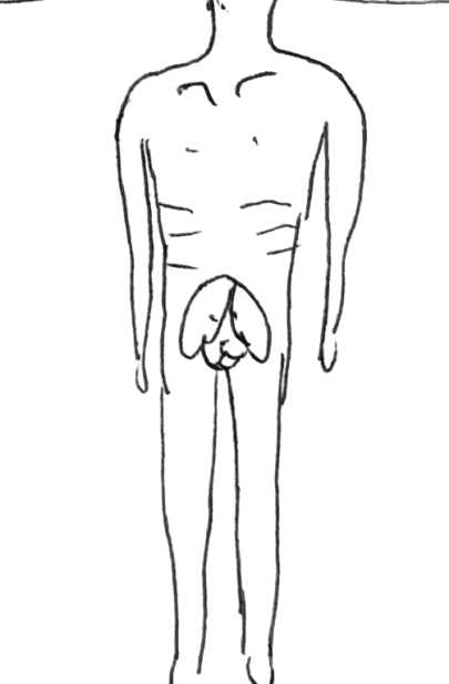 5 の似体絵
