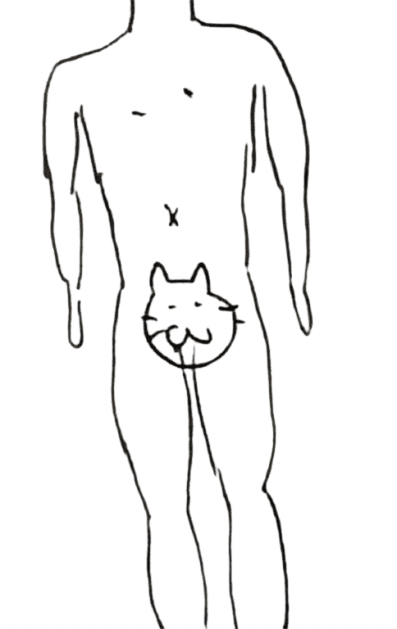 6 の似体絵