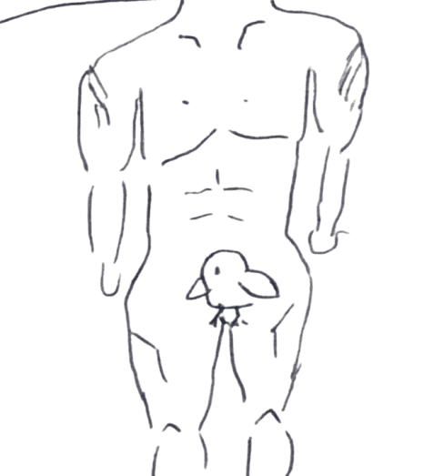 7 の似体絵
